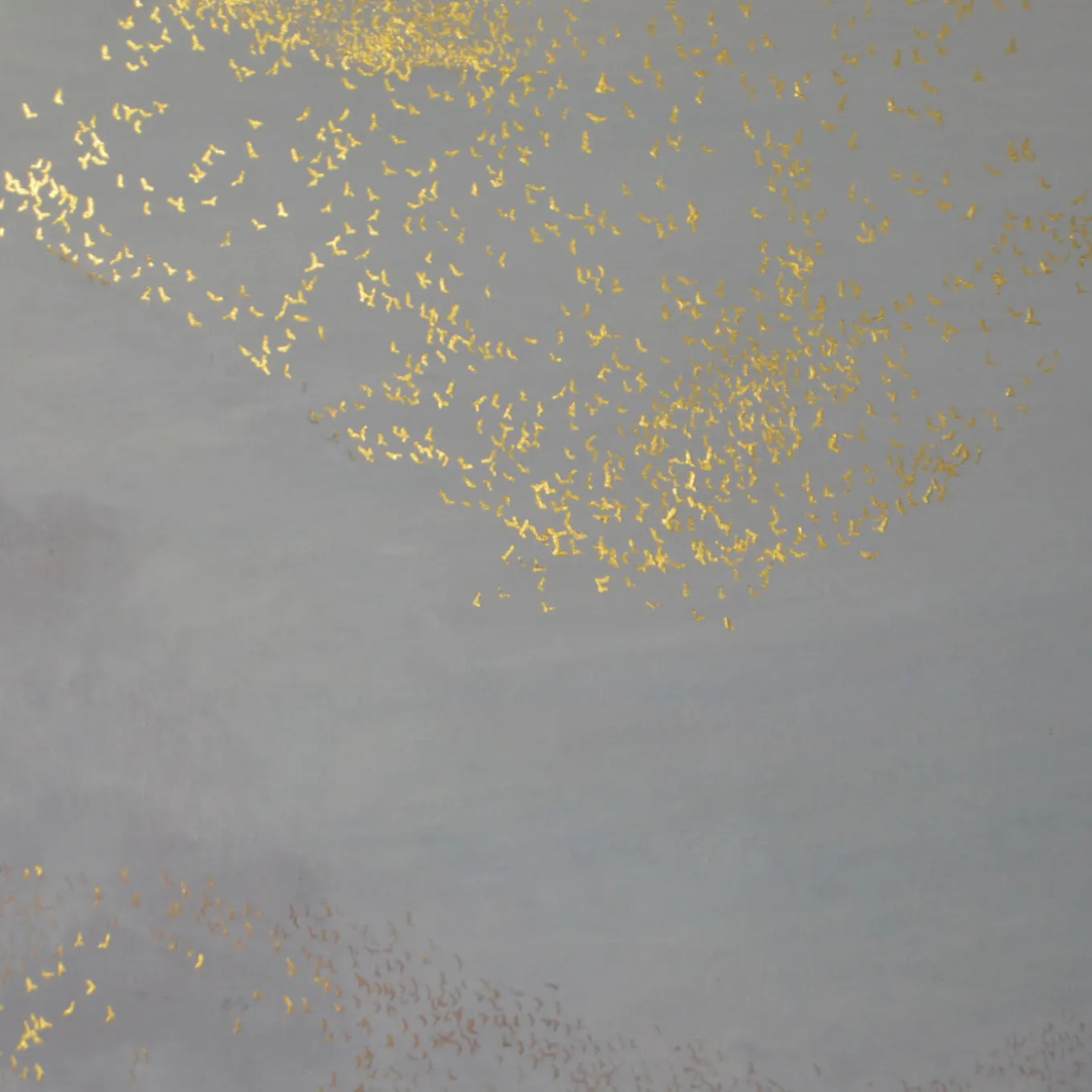 Dancing Soaring Light Painting