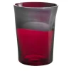 Dandy Cranberry & Gray Water Glass by Stefano Marcato