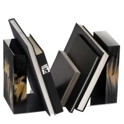 Dark Igor Book End