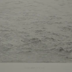 Distant Breath Of A Wing Etching