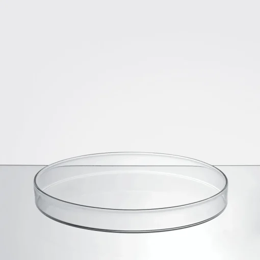 Dotto Large Set of 4 Serving Plates by R&D Blueside