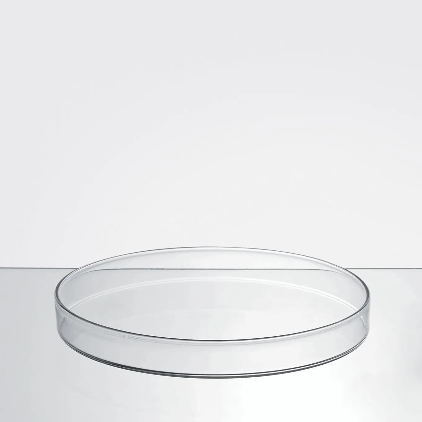 Dotto Large Set of 4 Serving Plates by R&D Blueside
