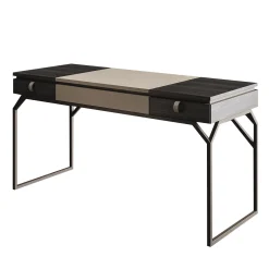 Dragonfly Desk