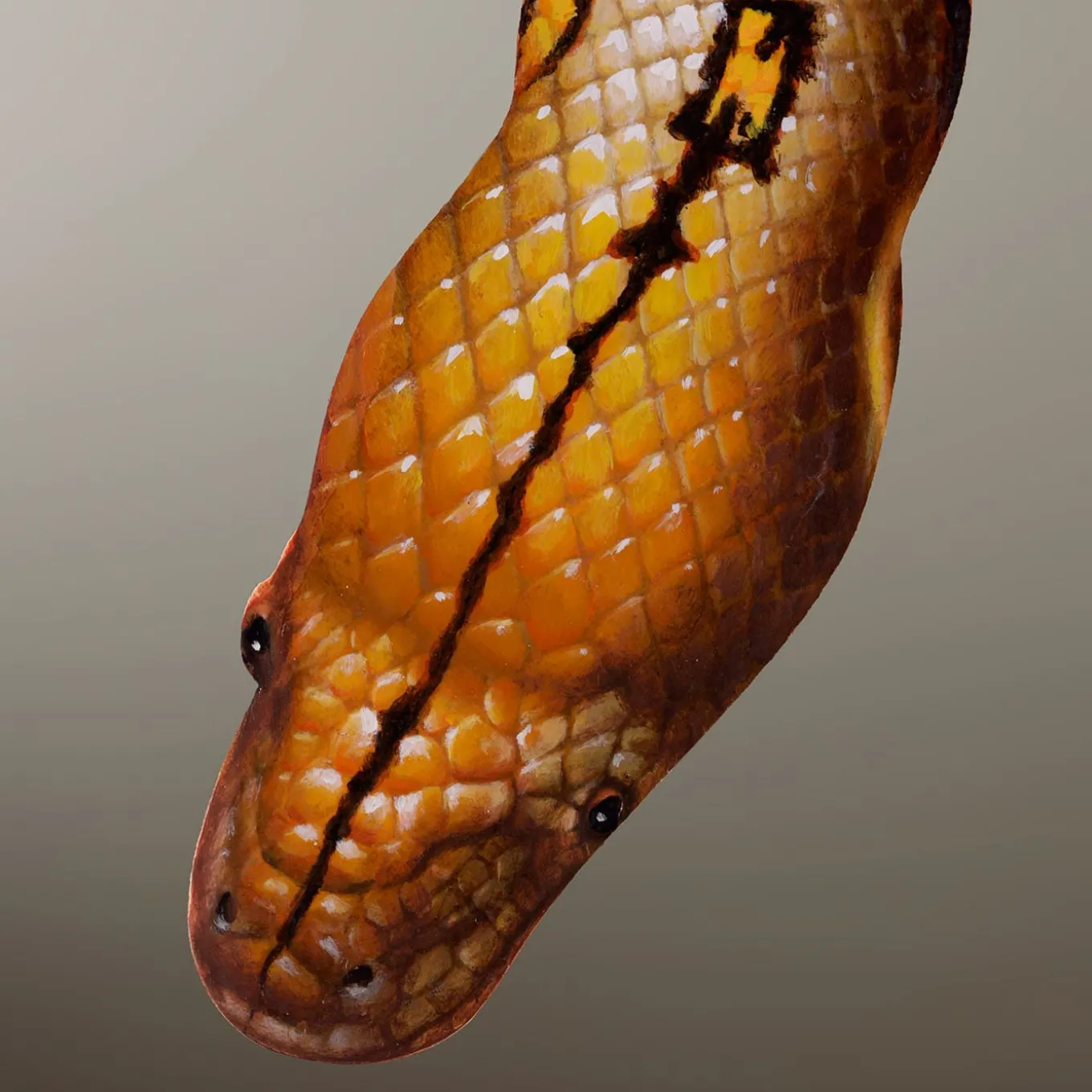 Duello Silenzioso Oil Painting on Wall Mirror #2 By Giuseppe Caiafa