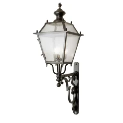 Emilia Outdoor Applique with Decorative Arm in Stainless Steel