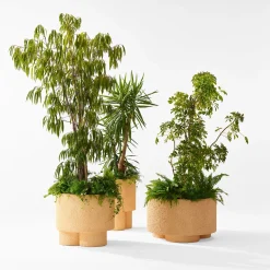 Erasmo Vase #2 by Patricia Urquiola