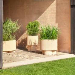 Erasmo Vase #2 by Patricia Urquiola