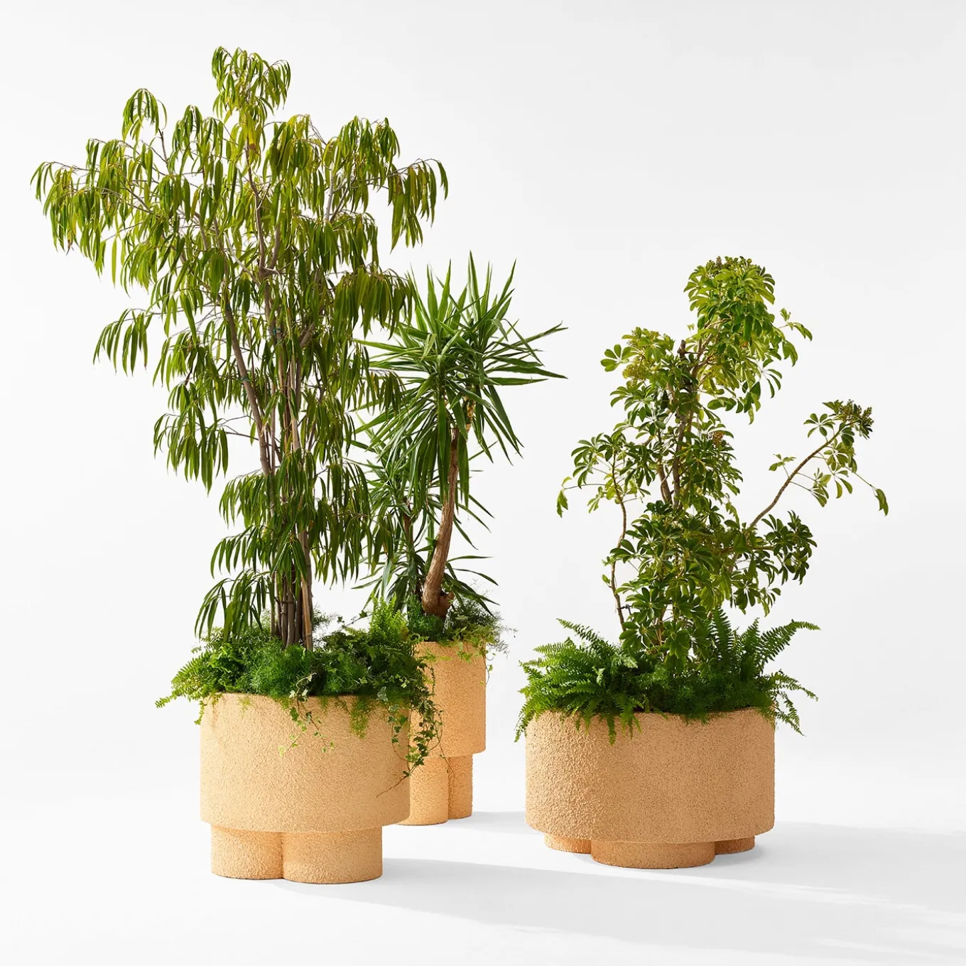 Erasmo Vase by Patricia Urquiola