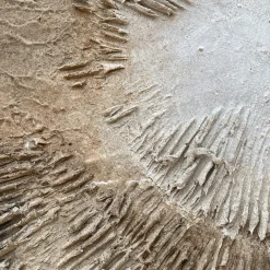 Expansion Textured Resin Painting in Black and White