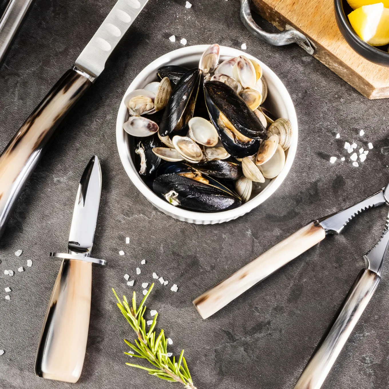 Fish and Shellfish Deluxe Cutlery Set in Natural Horn