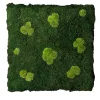 Flatmoss & Polemoss Indoor Panel