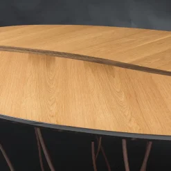 Foglia Fenice Phytomorphic Console