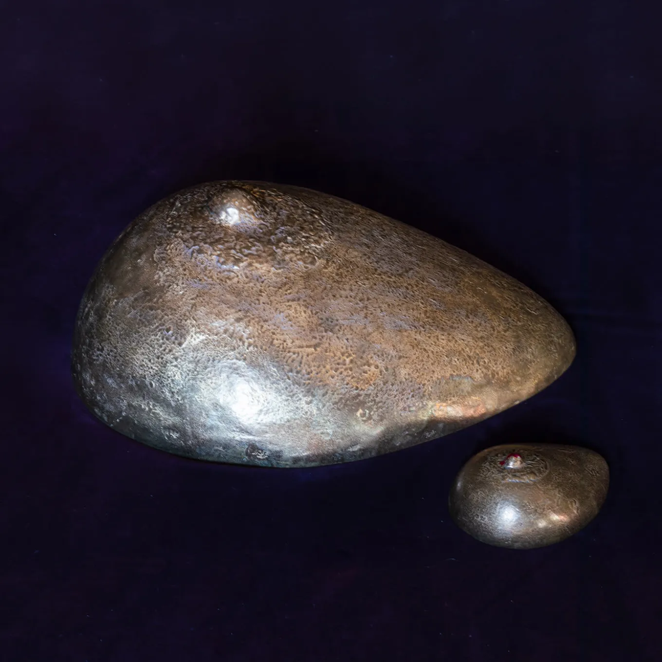 Forget Me Not Maxi Bronze Art Sculpture