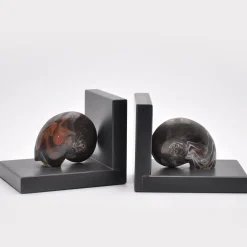 Fossiline Bookends sculpture #2 by Nino Basso