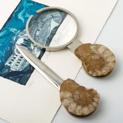 Fossiline Set of Paper Knife & Magnifying Glass by Nino Basso #4