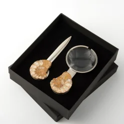 Fossiline Set of Paper Knife & Magnifying Glass by Nino Basso #4