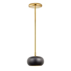 Gea Brass Spotlight with Black Lampshade Pendant