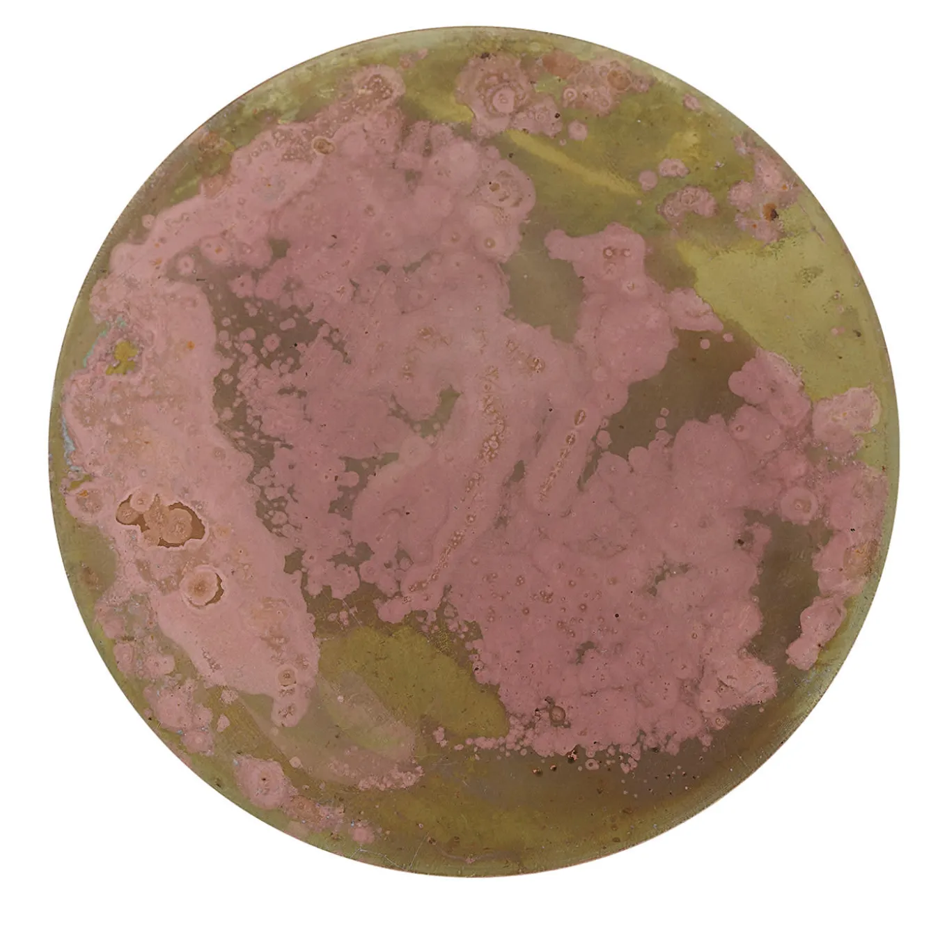 Geografie Emozionali Set of 6 Coasters #6