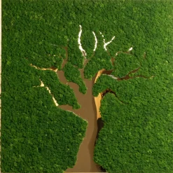 Giù in giardino Triptych