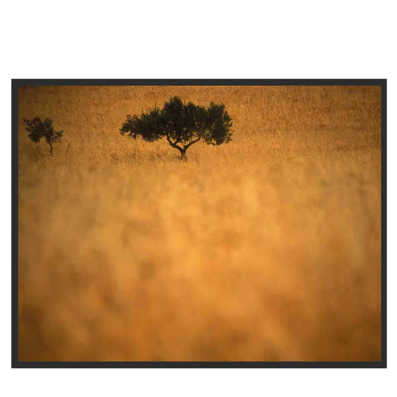 Giallo Sicilia Photograph