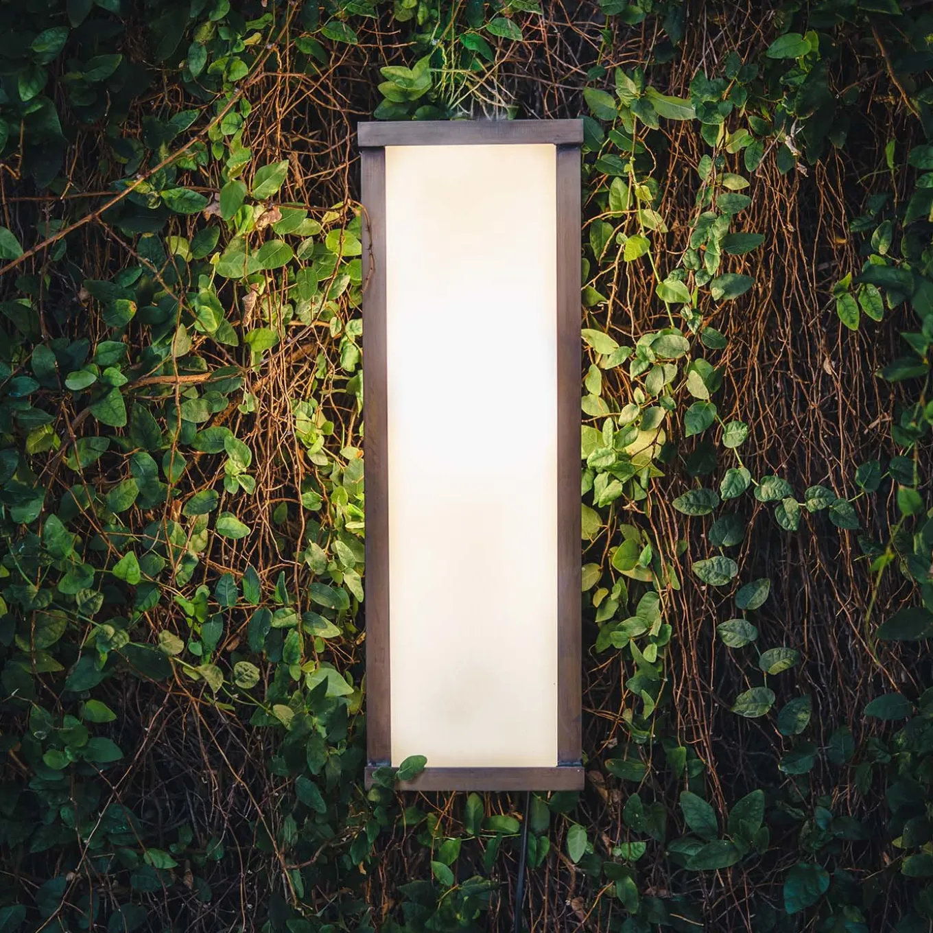 Giulia Ceiling and Wall Lamp