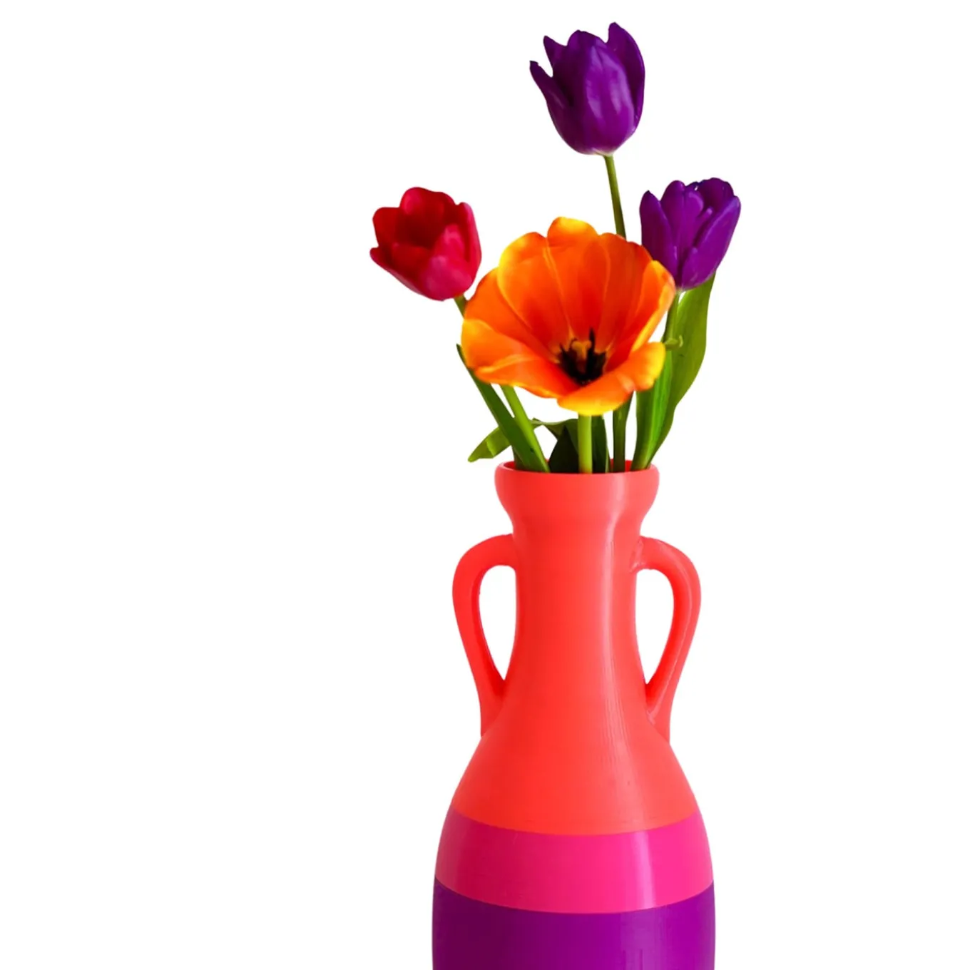 Giulio Cesare XL Purple Fucsia And Orange Amphora #2
