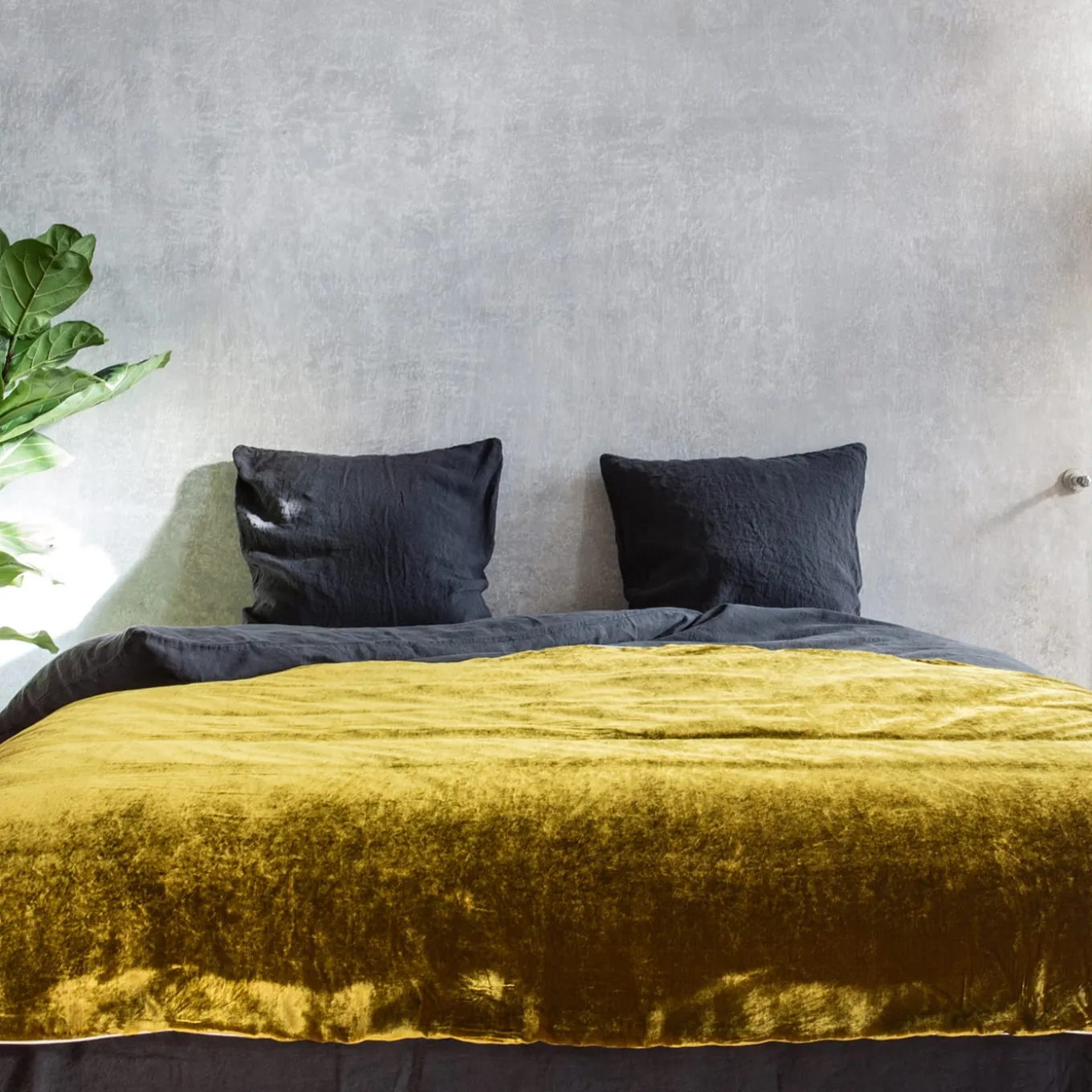 Gold Velvet & Linen Blanket
