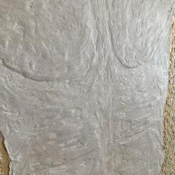 Golden Age Beige Classical Textured Resin Painting