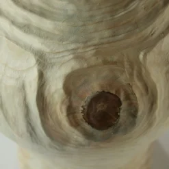 Groove FTG Korean-Style Araucaria Vase