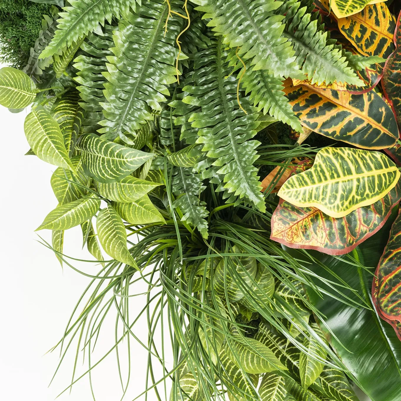 Hana Indoor Vertical Greenery Composition