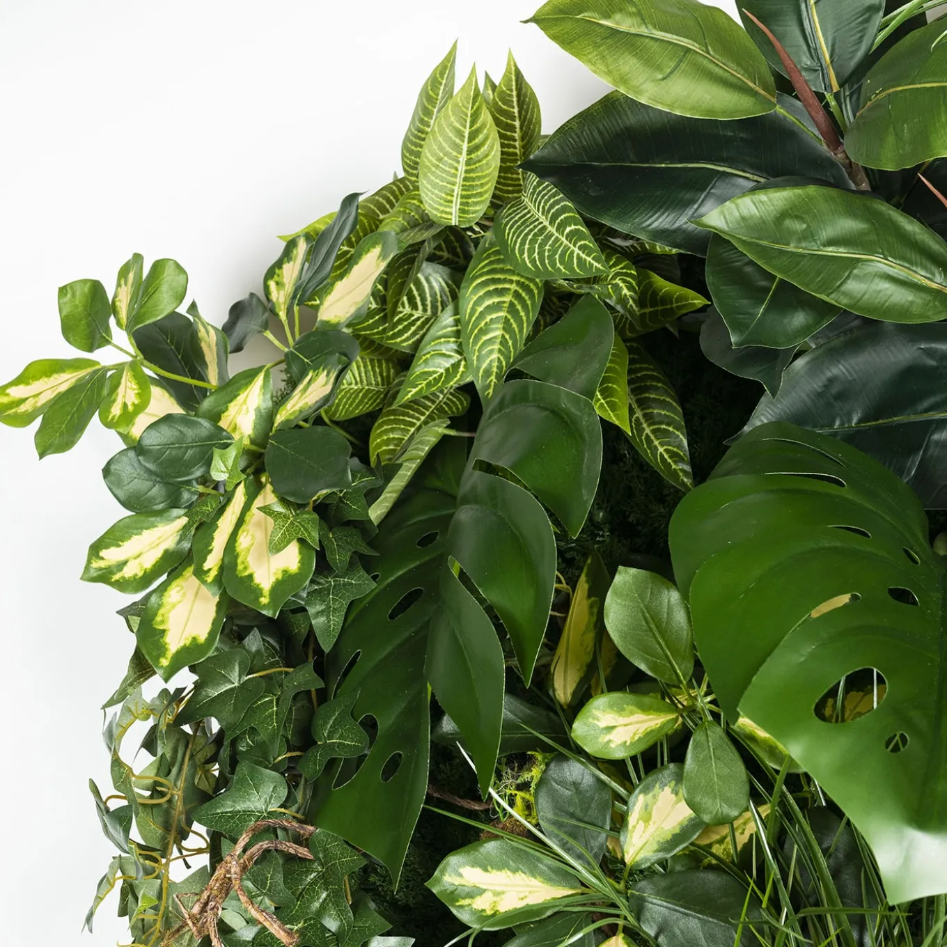 Hana Indoor Vertical Greenery Composition