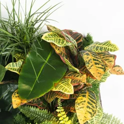 Hana Indoor Vertical Greenery Composition