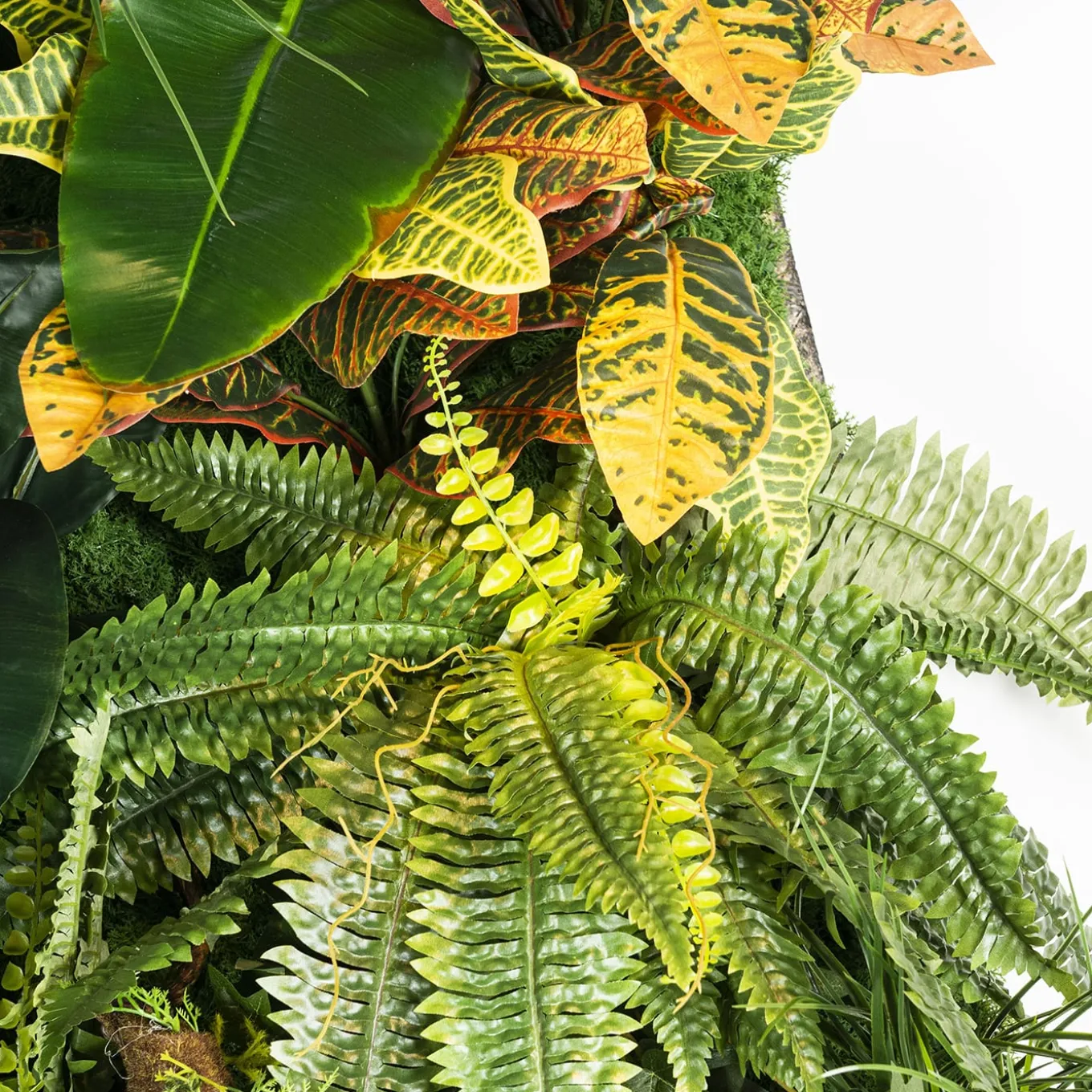Hana Indoor Vertical Greenery Composition
