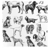 Hand-Drawn Black and White Dogs Wallpaper