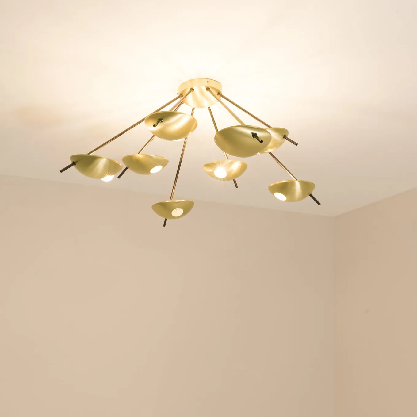 Helios Octo II Ceiling/Wall Light