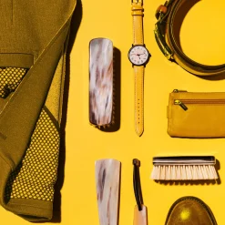 Horn Garment Brush
