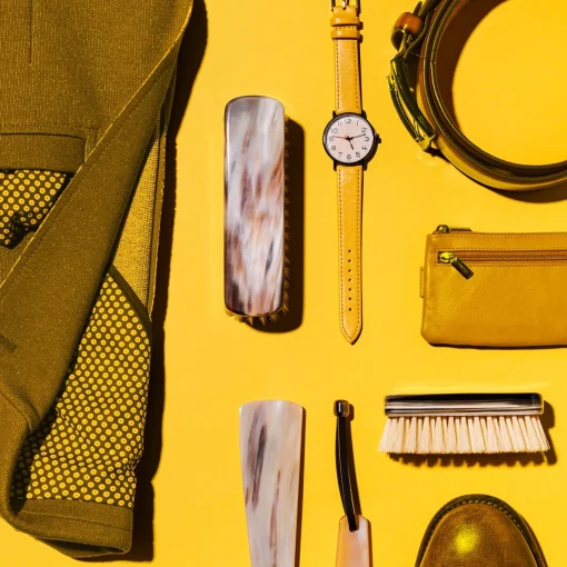 Horn Garment Brush