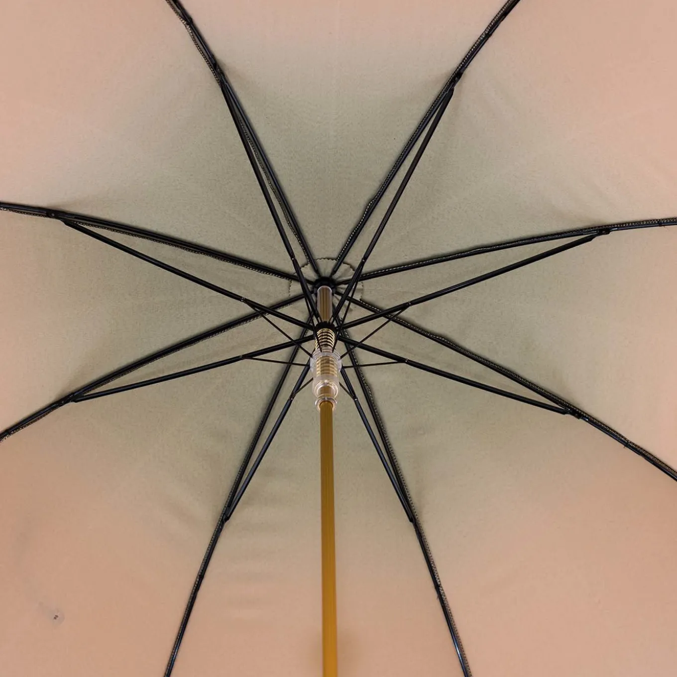 Iconic Golden Lion Umbrella