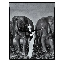 ICONICB_005 2016 Photograph