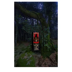 Il Demone Sotto la Pelle Photograph #8