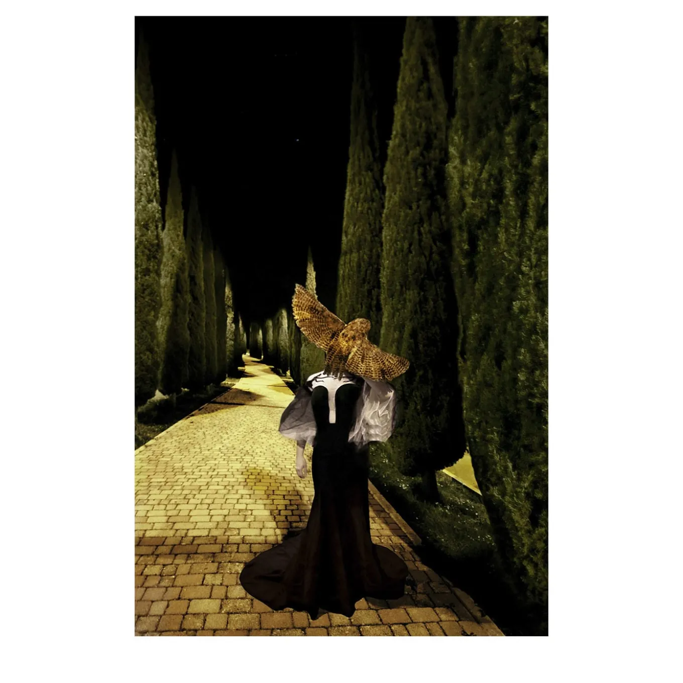 Il Demone Sotto la Pelle Photograph #7