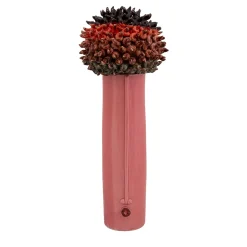 Il Riccio Vase