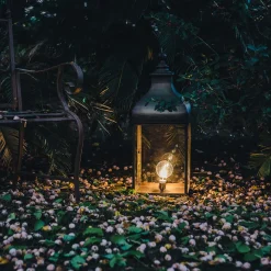 Ilaria Square Burnished Brass Lantern