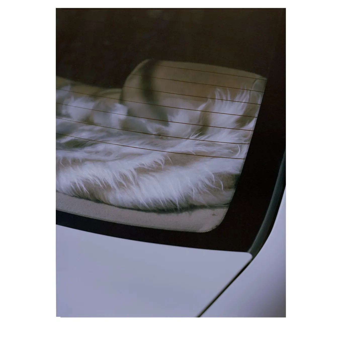 Interno Auto Photographic Print