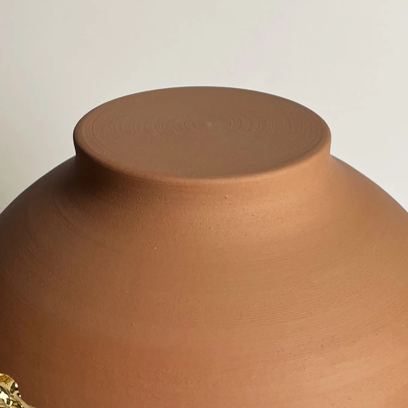 Intro Terracotta Vase