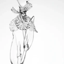 Iris Pseudacorus Glass Flute