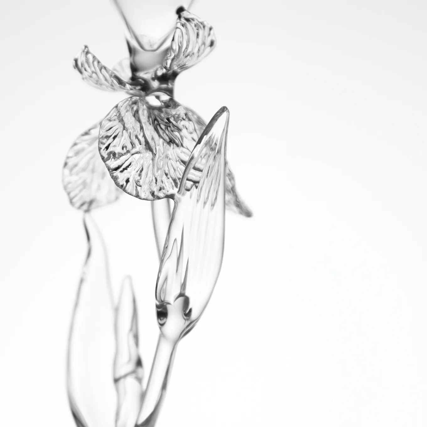 Iris Pseudacorus Glass Flute