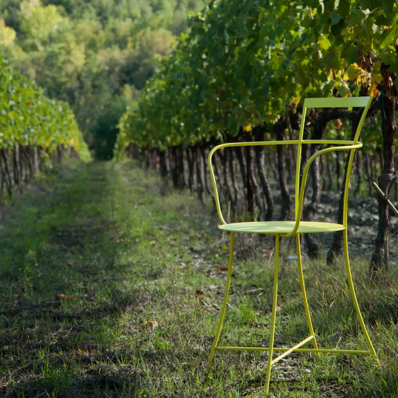Irma Yellow Armchair by Mario Scairato