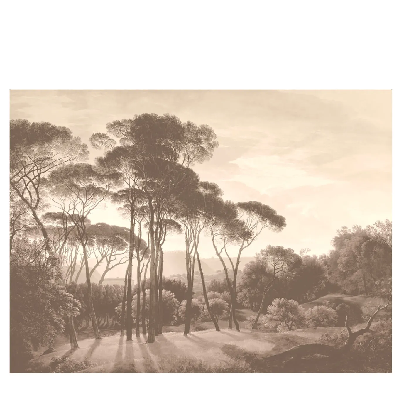 Italian Panorama Seppia Wallpaper