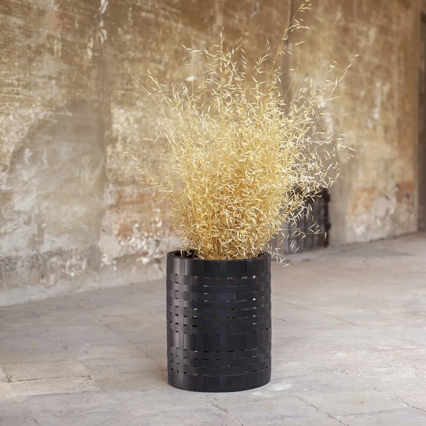 Juncus Black Cachepot